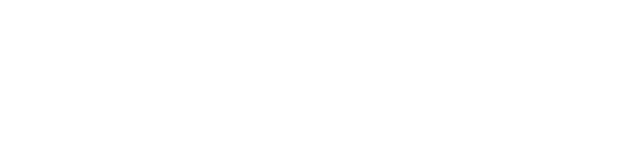 Pliny logo